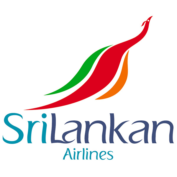 Airline logo