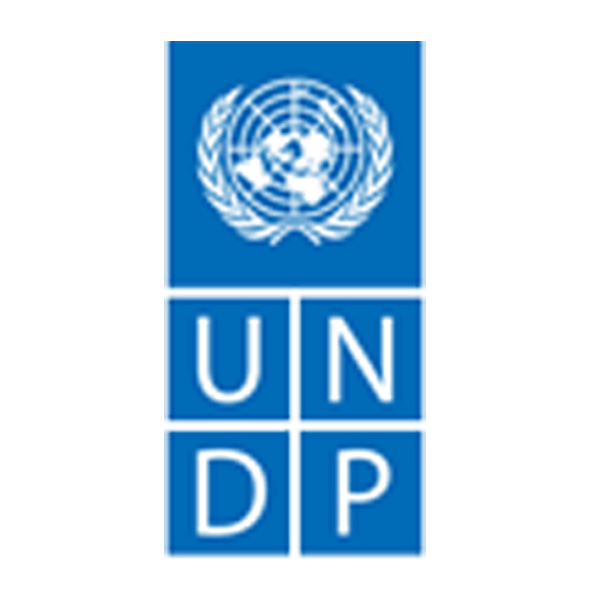 Undp logo